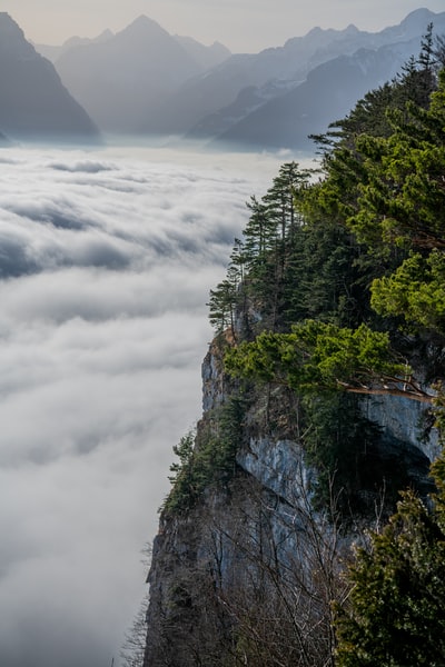 白天，白云蓝天下，山上绿树成荫